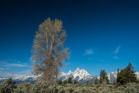 ָ߰߷ѲĸǿȨϡ